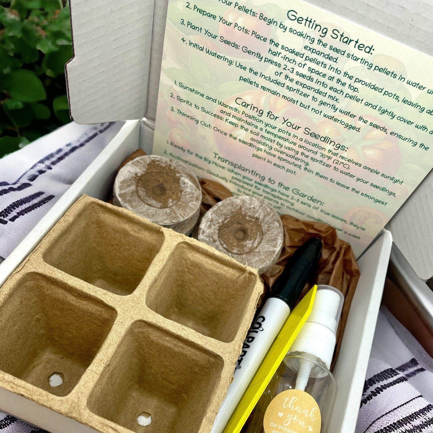Kit - Heirloom Tomato Starter Kit: Grow Your Own Delicious Heritage Tomatoes
