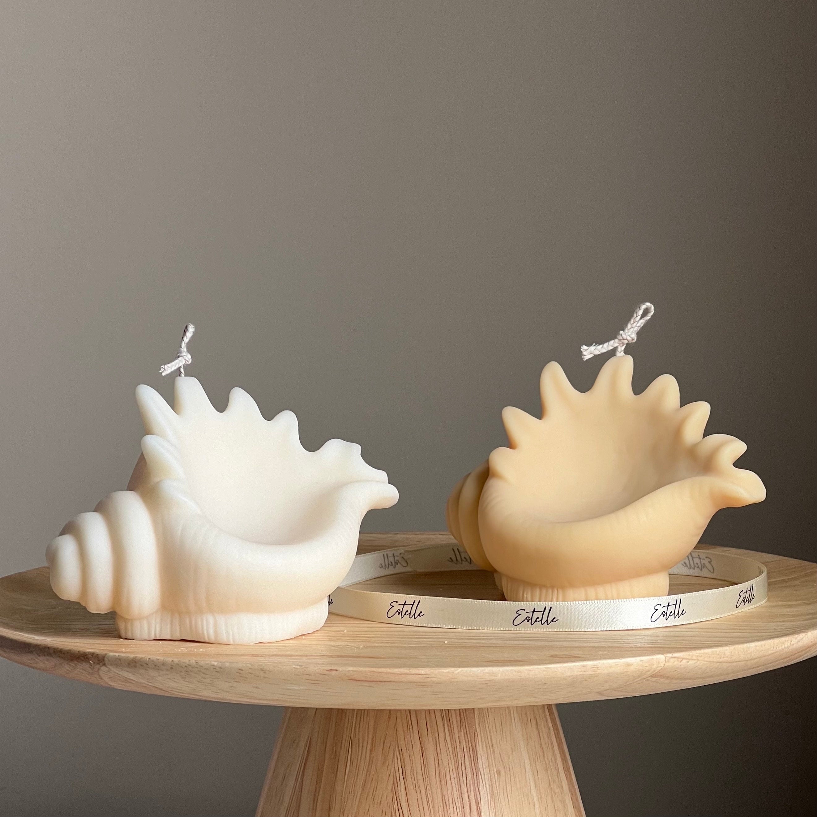 Sea Shell Soy Candle: Decorative Clam Shell, Unique Vegan Gift