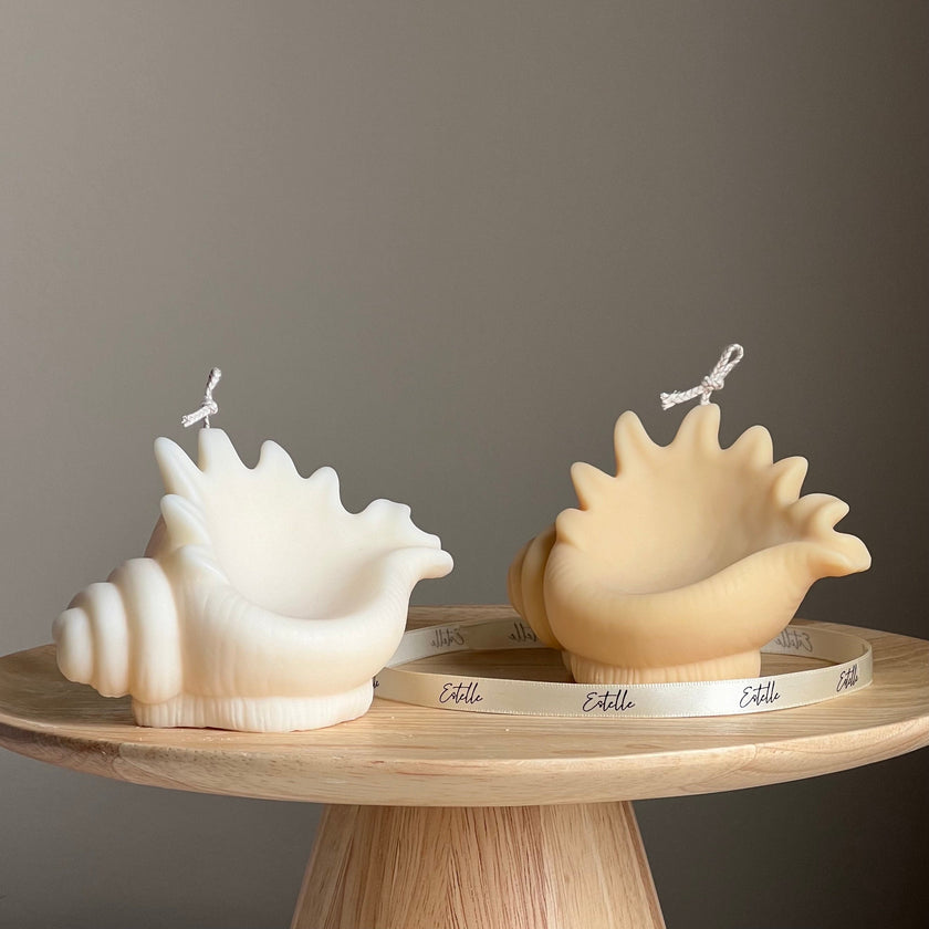 Sea Shell Soy Candle: Decorative Clam Shell, Unique Vegan Gift