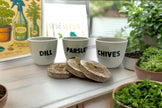 Indoor Herb Garden Starter Kit - Spring Planting - Parsley, Chives & Dill Seeds - Canadian