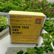 Indoor Herb Garden Starter Kit - Spring Planting - Parsley, Chives & Dill Seeds - Canadian