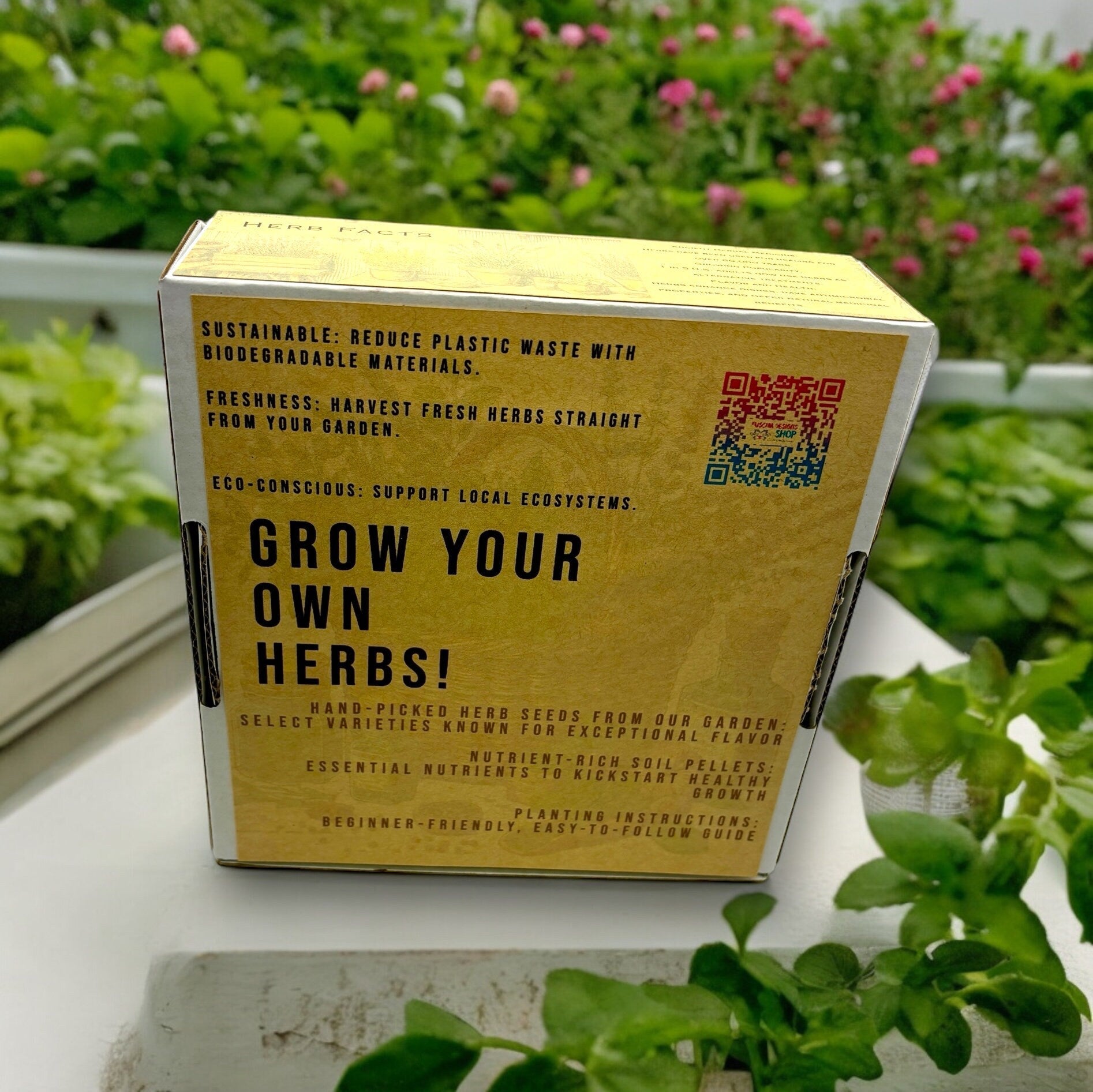 Indoor Herb Garden Starter Kit - Spring Planting - Parsley, Chives & Dill Seeds - Canadian