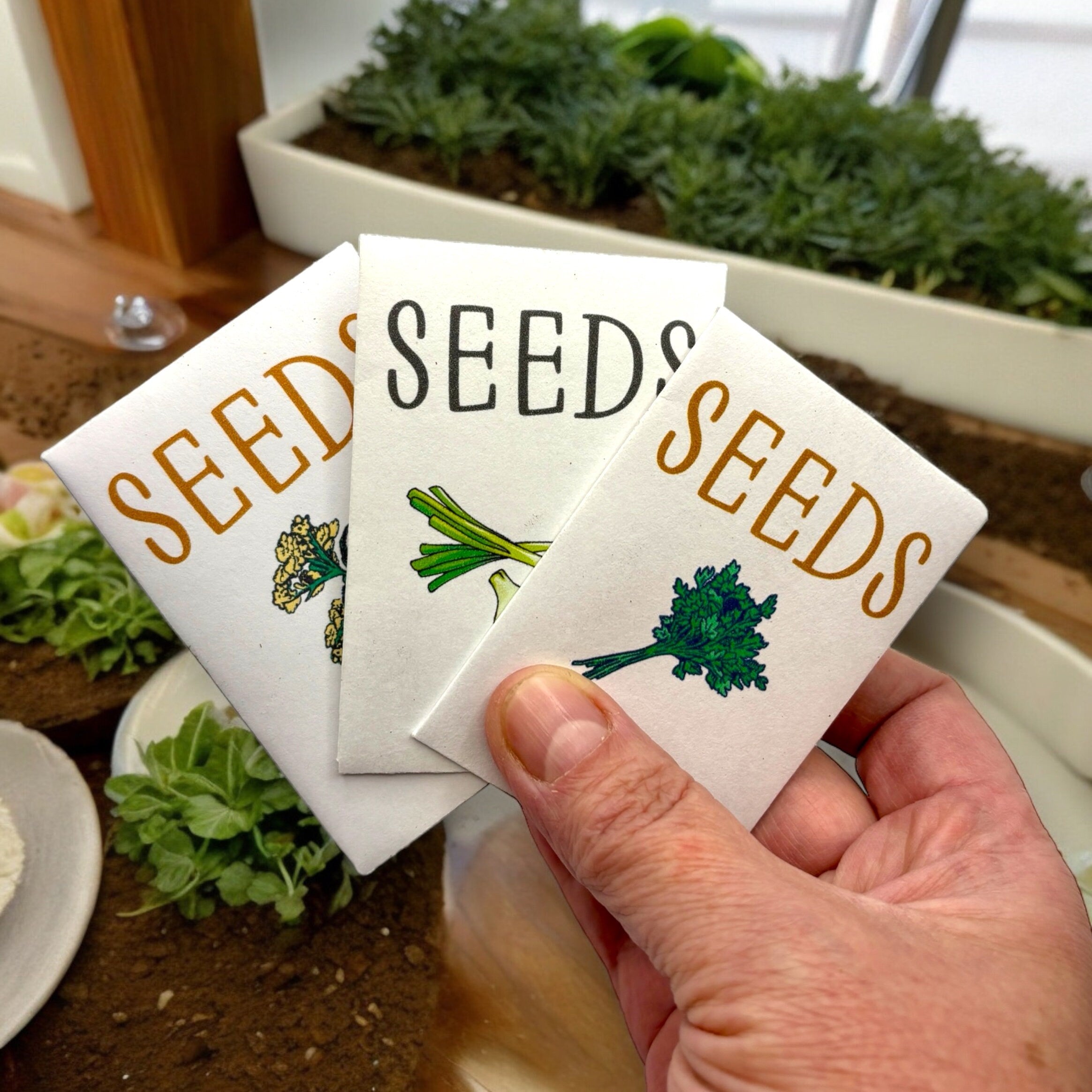 Indoor Herb Garden Starter Kit - Spring Planting - Parsley, Chives & Dill Seeds - Canadian