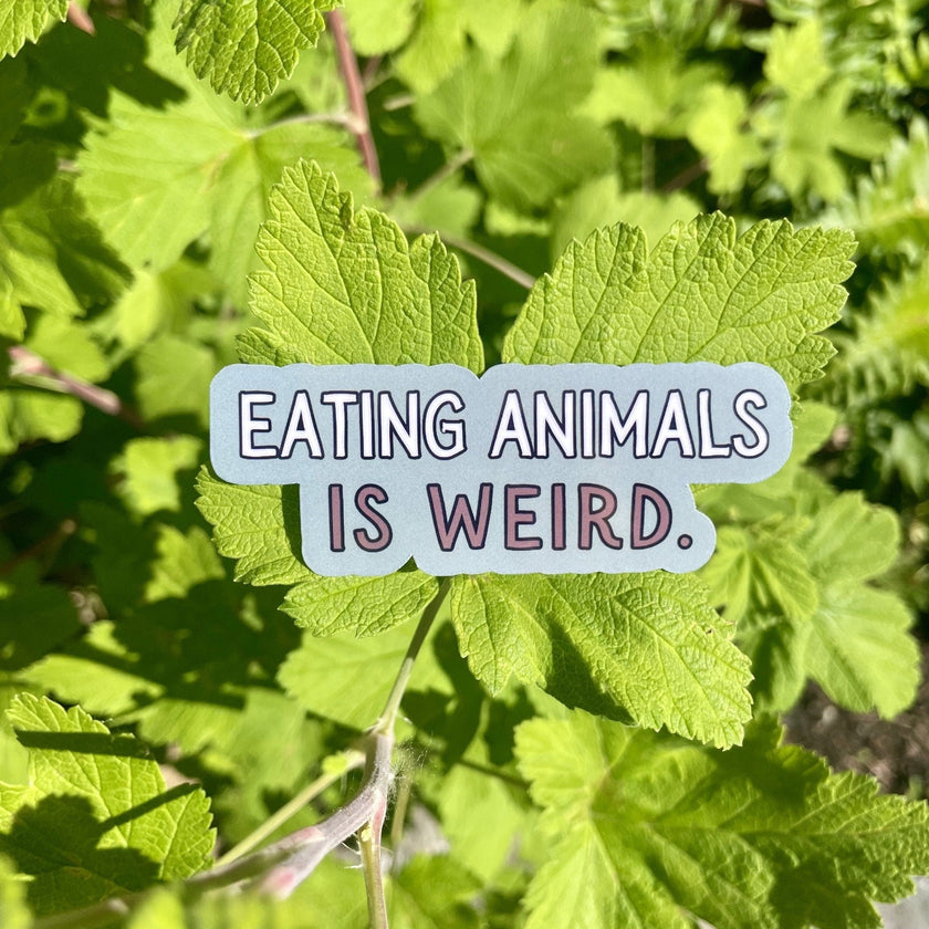 Eating Animals Is Weird Vegan Sticker