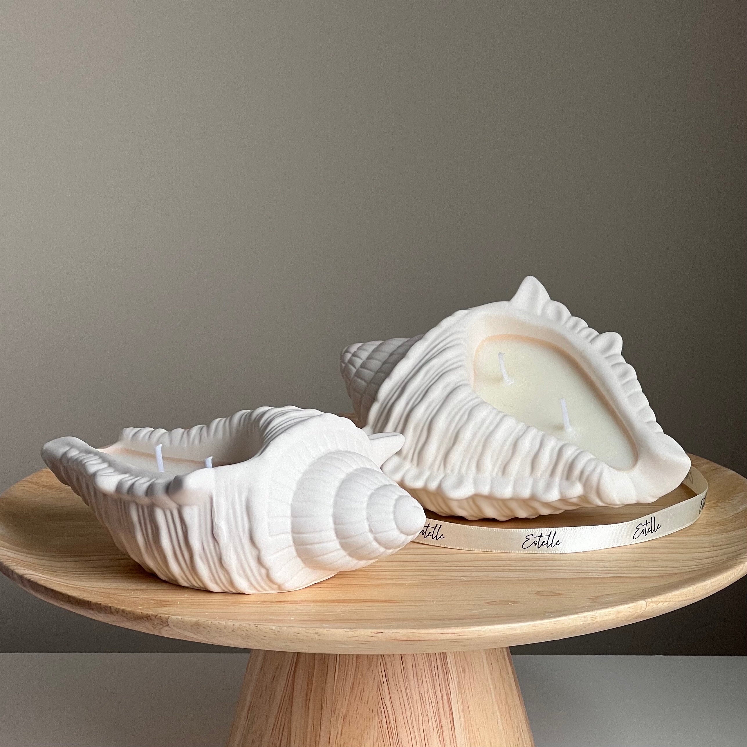 Conch Shell Soy Wax Candle | Jesmonite Container, Handmade
