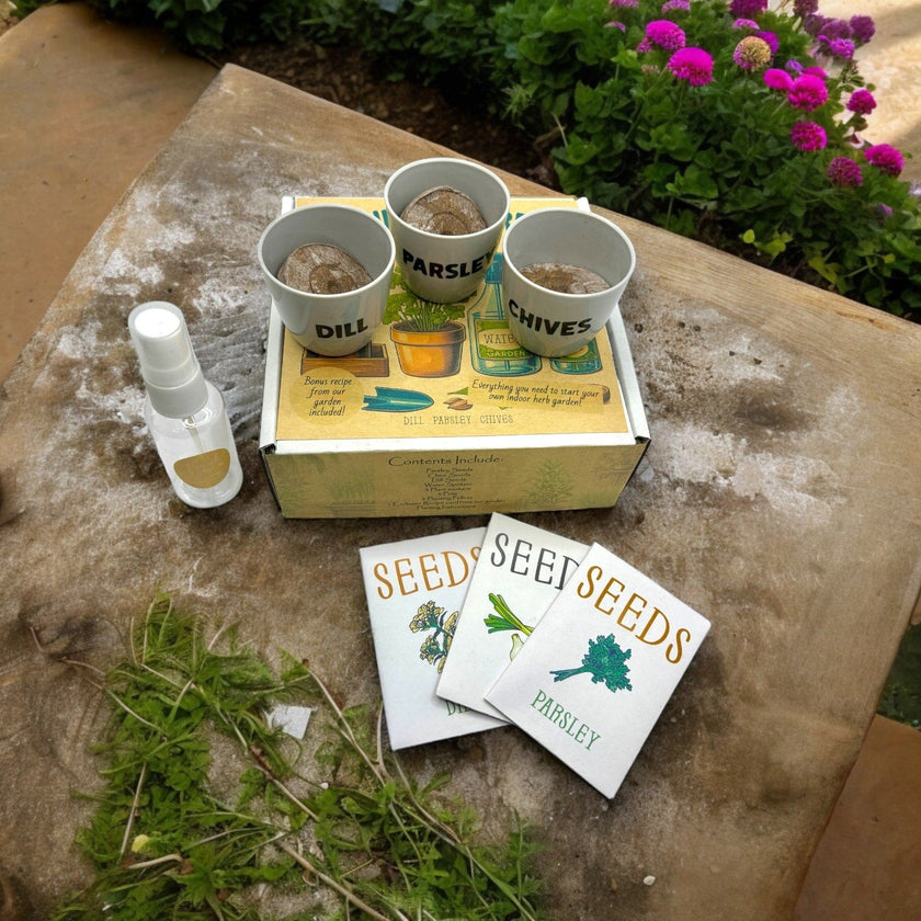 Indoor Herb Garden Starter Kit - Spring Planting - Parsley, Chives & Dill Seeds - Canadian