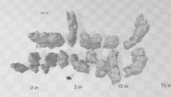 Grotto Walls - Printable Scenery | DnD | Clorehaven | Cave | Dungeon | Scene | Scatter Terrain | Wargaming | Pathfinder | 28mm 15mm 32mm