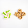 Pistachio and Walnut Magnet Set