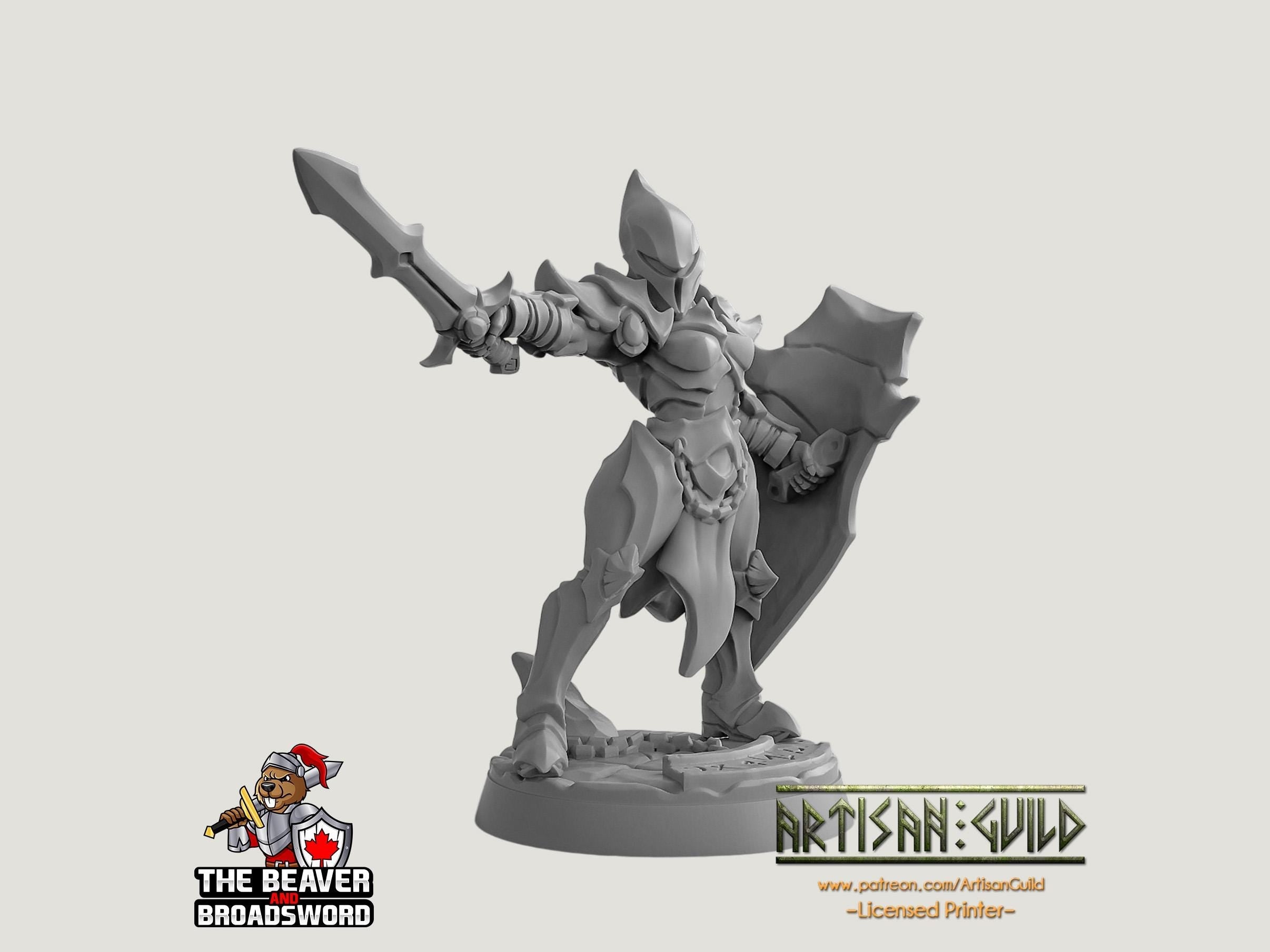 Ashen Alfar Inquisitor D - Dungeons and Dragons | Female | Fighter | Paldin Cleric | Elf Drow DnD 5e Fantasy  Pathfinder 2e 5e Tabletop Mini