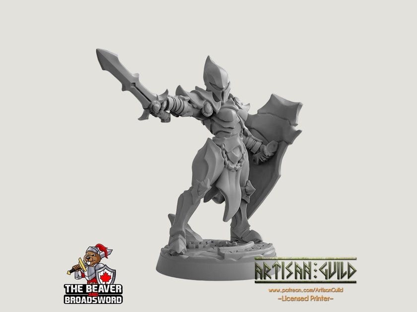 Ashen Alfar Inquisitor D - Dungeons and Dragons | Female | Fighter | Paldin Cleric | Elf Drow DnD 5e Fantasy  Pathfinder 2e 5e Tabletop Mini
