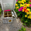 Spring Flower Garden Starter Kit - Zinnia, Cosmo & Sunflower Seeds - Canadian Wildflowers