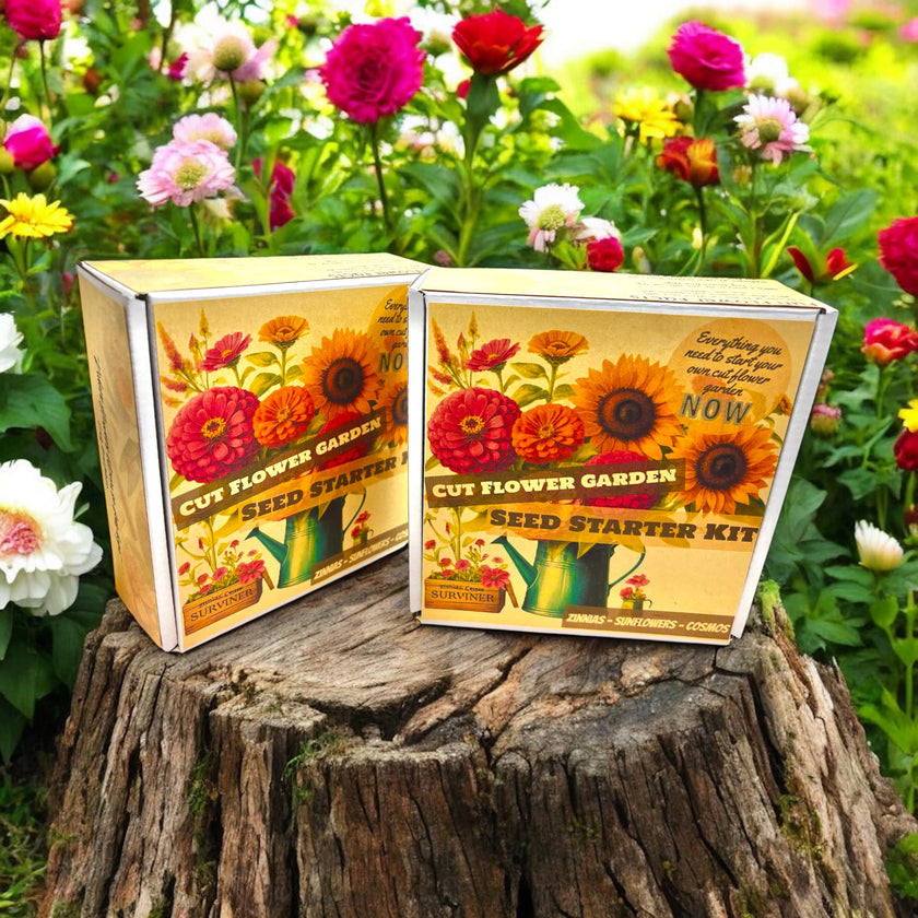 Spring Flower Garden Starter Kit - Zinnia, Cosmo & Sunflower Seeds - Canadian Wildflowers