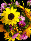 Spring Flower Garden Starter Kit - Zinnia, Cosmo & Sunflower Seeds - Canadian Wildflowers