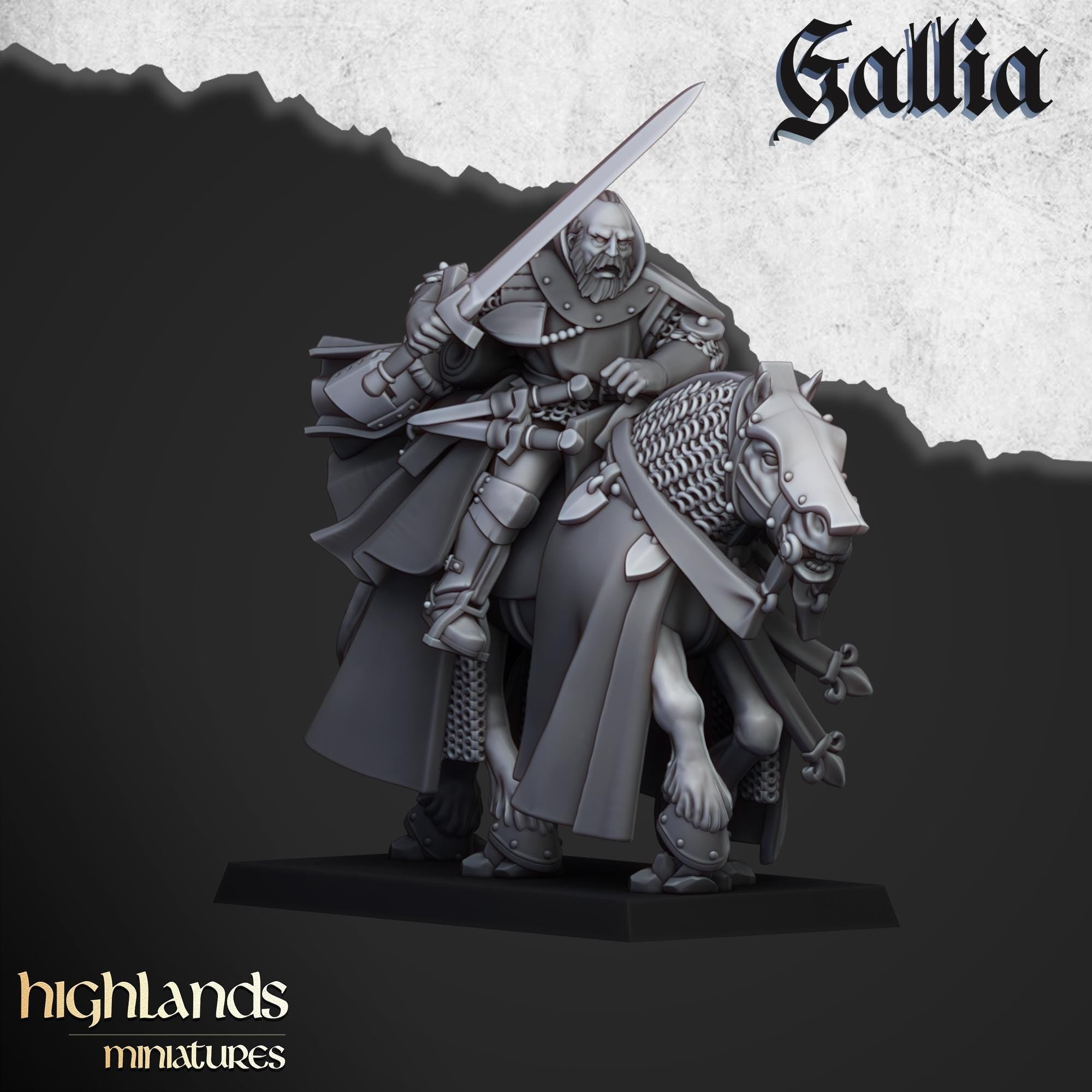 Questing Knights Miniature Set - 28/32mm Scale Premium Resin Models for Wargaming and RPG, DnD, Human, Gallia, Durable, High Quality