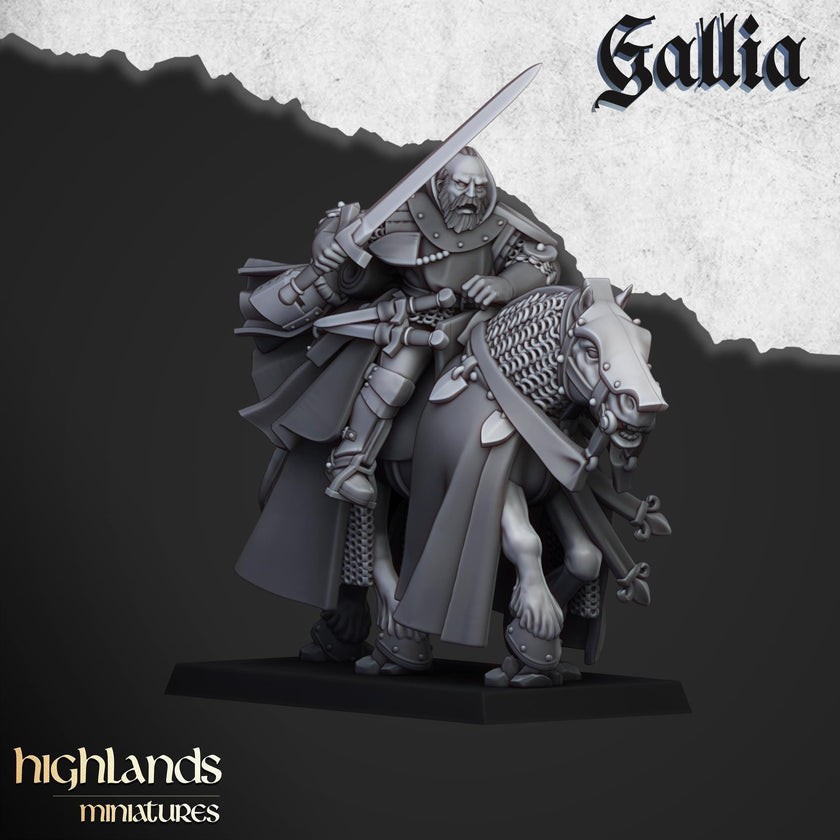 Questing Knights Miniature Set - 28/32mm Scale Premium Resin Models for Wargaming and RPG, DnD, Human, Gallia, Durable, High Quality