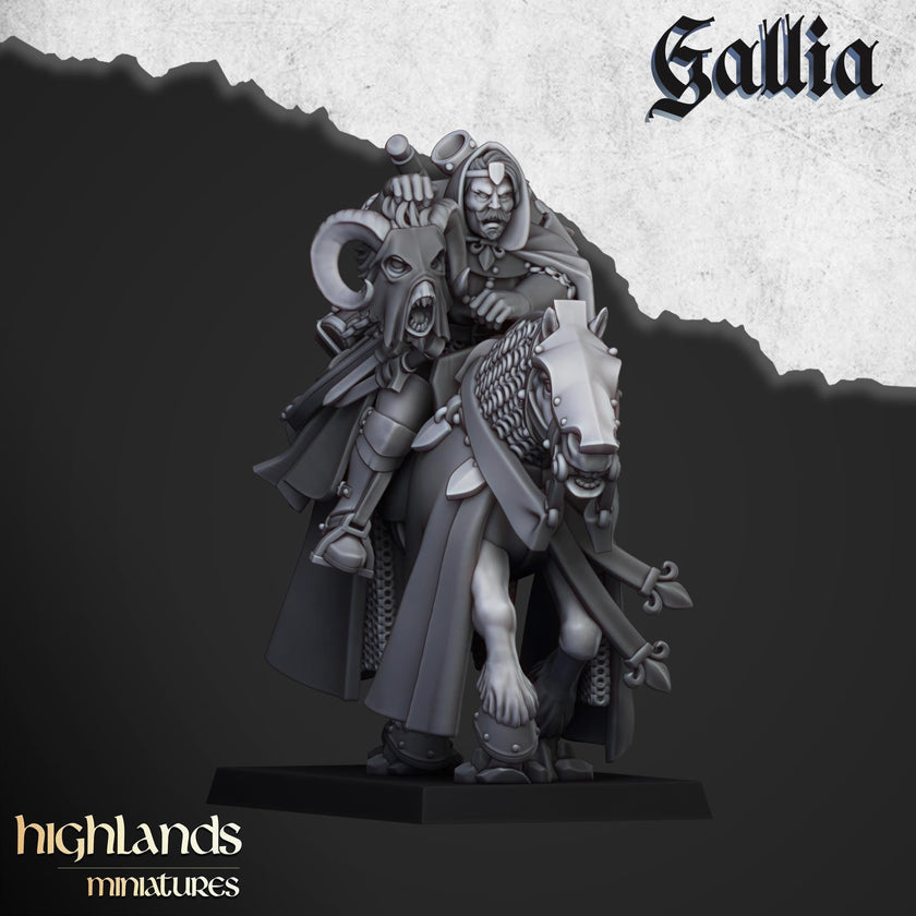 Questing Knights Miniature Set - 28/32mm Scale Premium Resin Models for Wargaming and RPG, DnD, Human, Gallia, Durable, High Quality