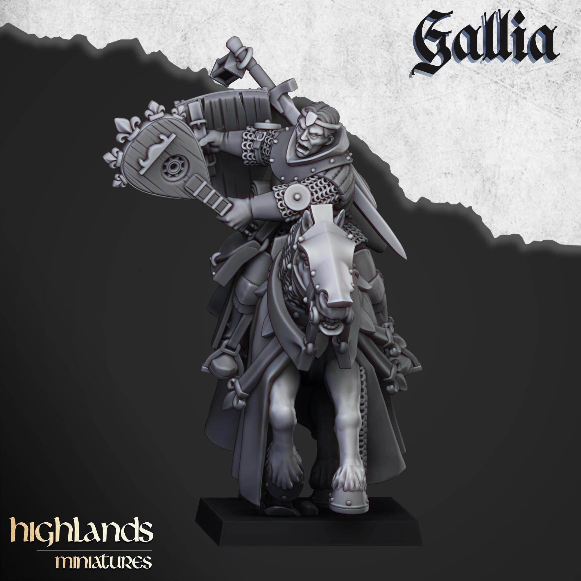 Questing Knights Miniature Set - 28/32mm Scale Premium Resin Models for Wargaming and RPG, DnD, Human, Gallia, Durable, High Quality