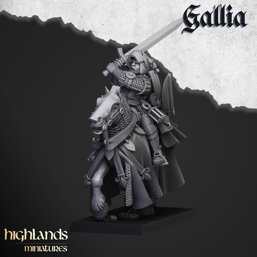 Questing Knights Miniature Set - 28/32mm Scale Premium Resin Models for Wargaming and RPG, DnD, Human, Gallia, Durable, High Quality
