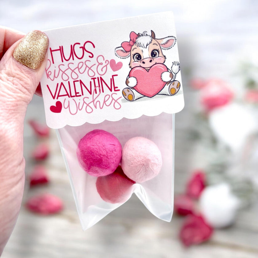 Seed Bombs - 3 Pack - Valentines Day Themed - NEW DESIGNS - Canadian Wildflower
