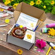 Kit - Paint, Plant & Grow DIY Kit with Clay Pot, Sunflower Seeds, Paint Brush, Paint, Soil