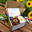 Kit - Paint, Plant & Grow DIY Kit with Clay Pot, Sunflower Seeds, Paint Brush, Paint, Soil