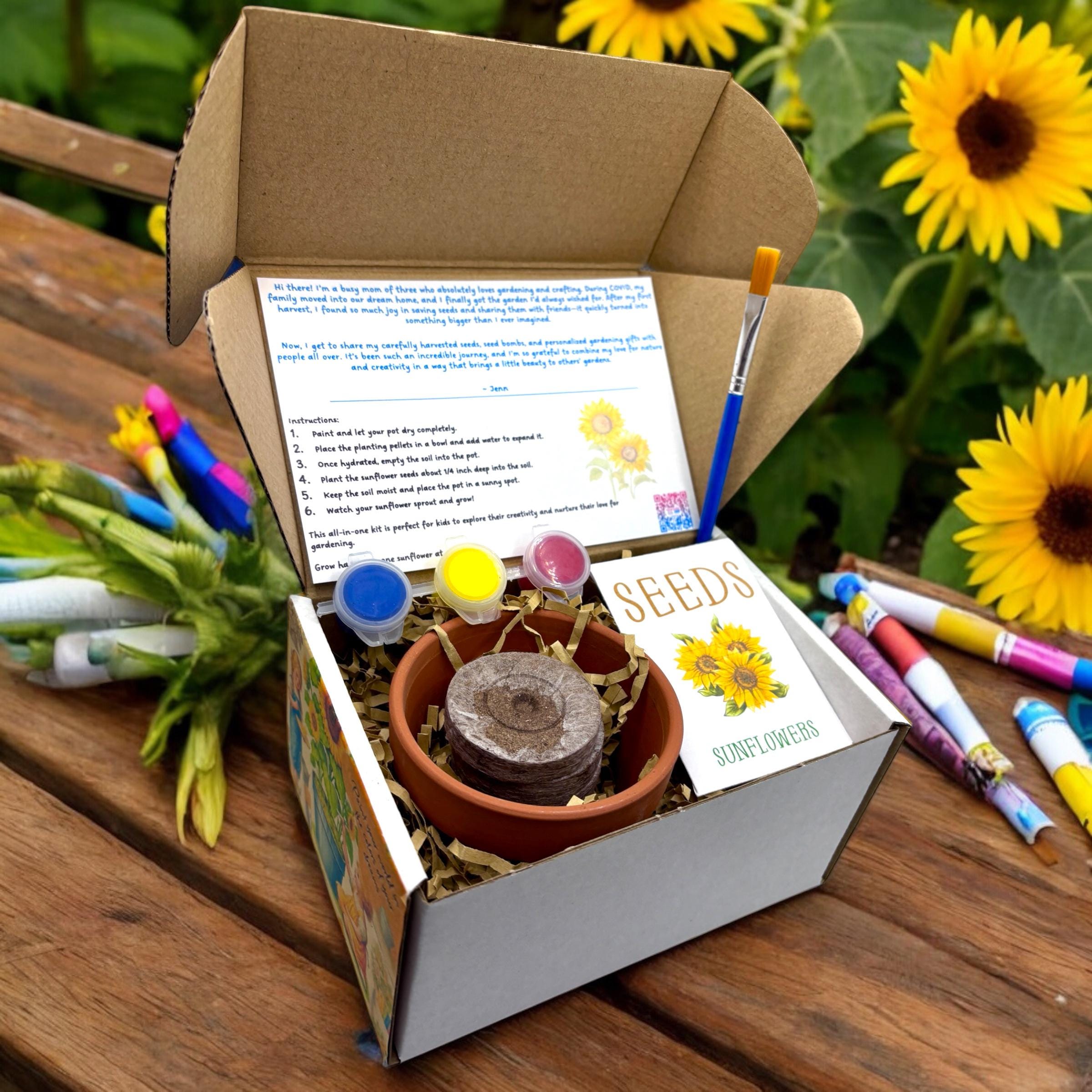 Kit - Paint, Plant & Grow DIY Kit with Clay Pot, Sunflower Seeds, Paint Brush, Paint, Soil