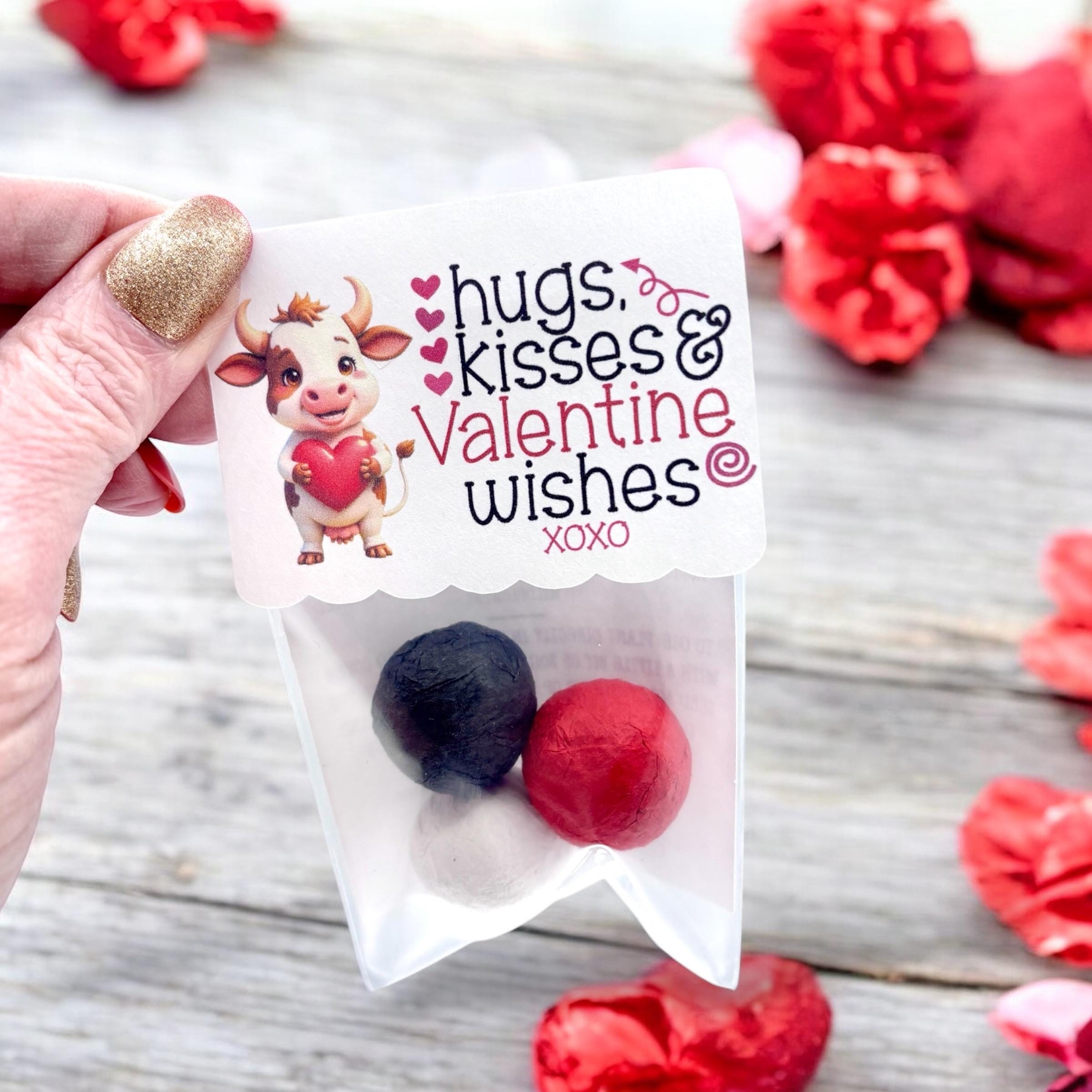Seed Bombs - 3 Pack - Valentines Day Themed - NEW DESIGNS - Canadian Wildflower
