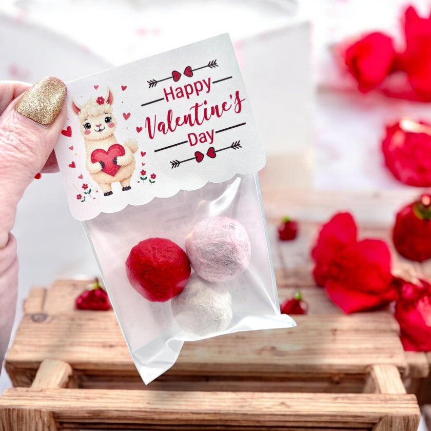 Seed Bombs - 3 Pack - Valentines Day Themed - NEW DESIGNS - Canadian Wildflower