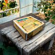 Spring Garden Starter Kit - Bloom & Grow with Cosmo Seeds, Apron, Gloves & Tools - Canadian Wildflowers