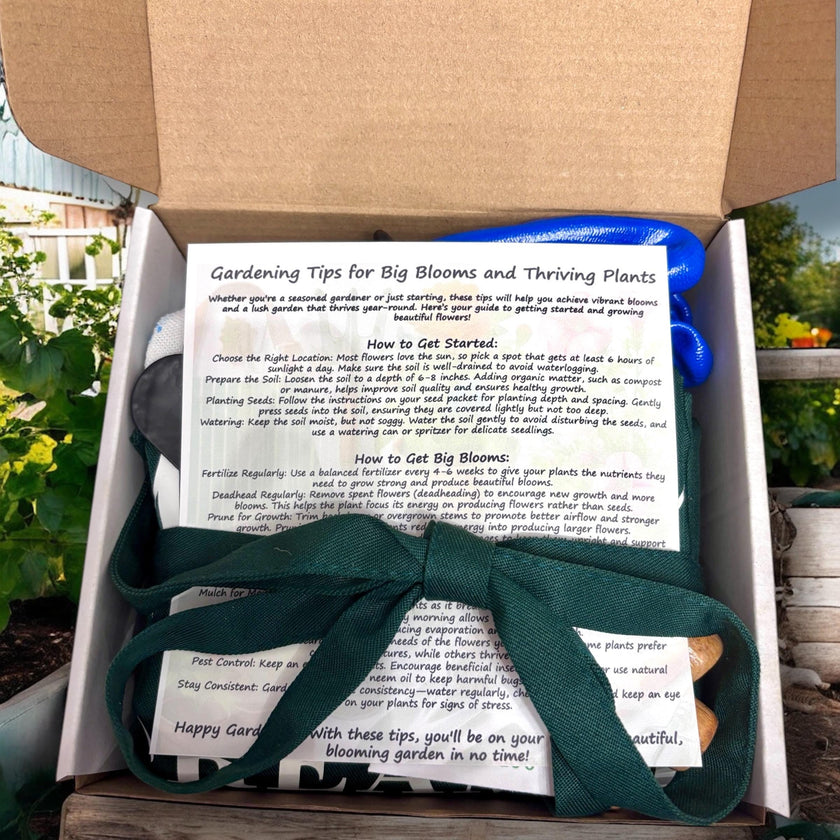 Spring Garden Starter Kit - Bloom & Grow with Cosmo Seeds, Apron, Gloves & Tools - Canadian Wildflowers