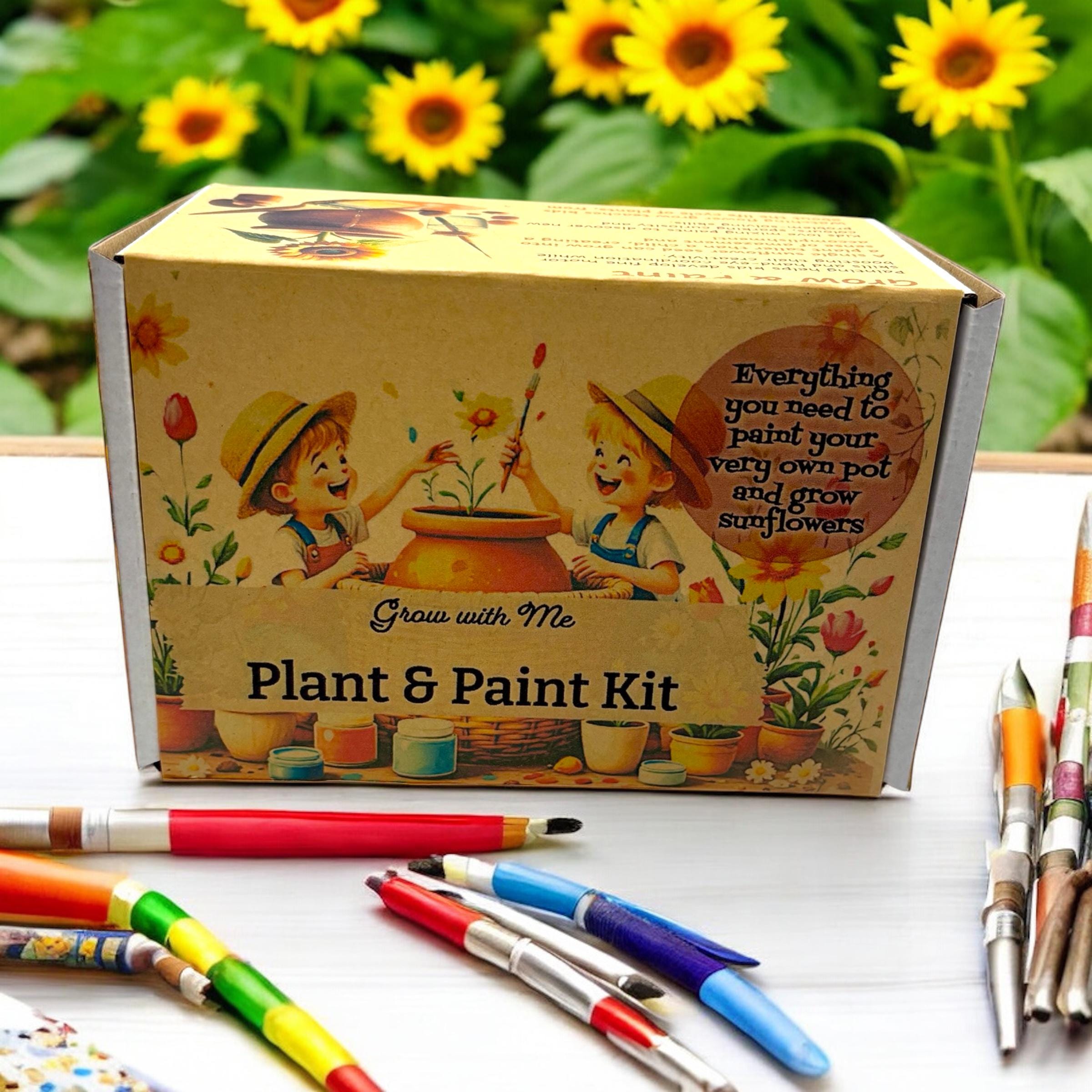 Kit - Paint, Plant & Grow DIY Kit with Clay Pot, Sunflower Seeds, Paint Brush, Paint, Soil