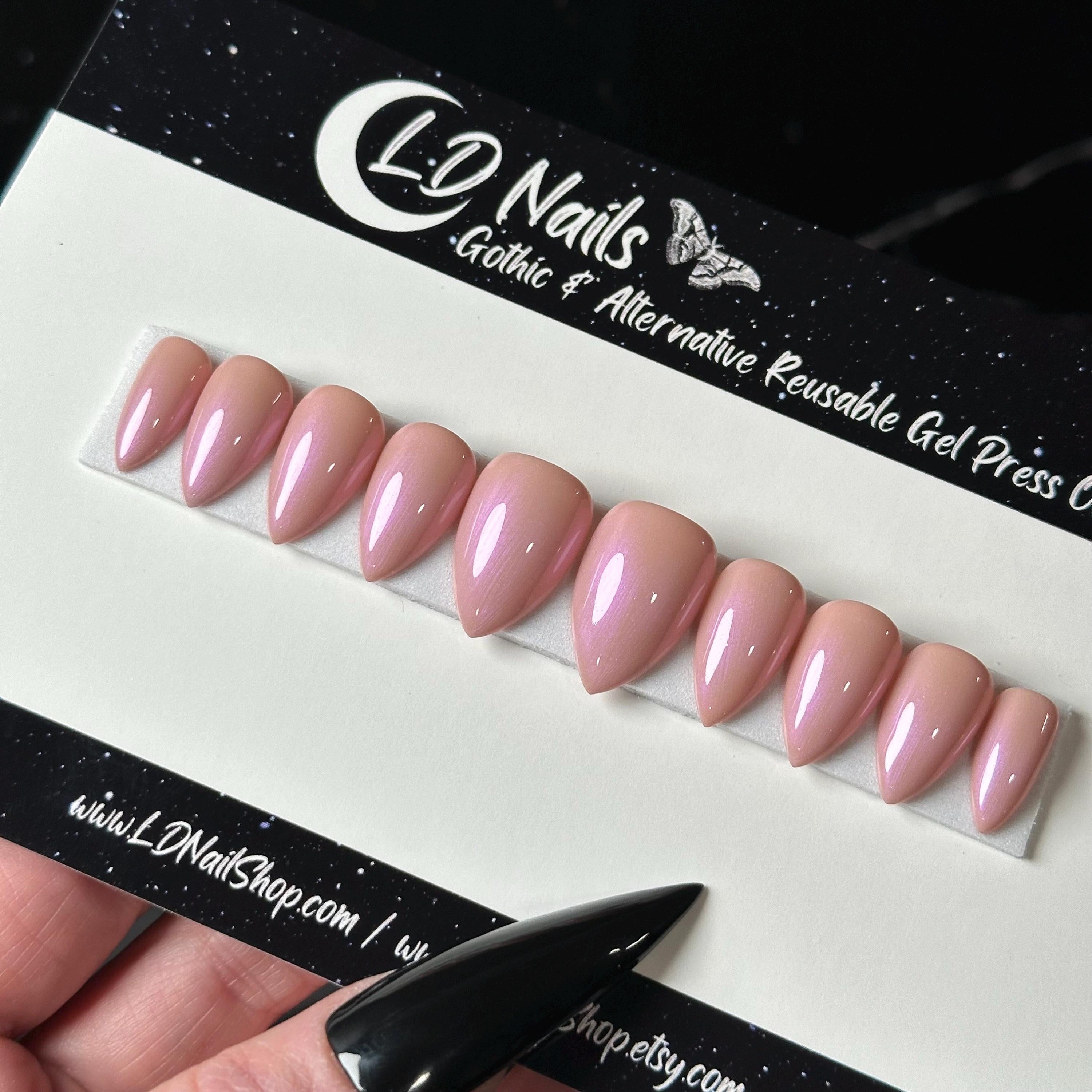 Lavender Blush