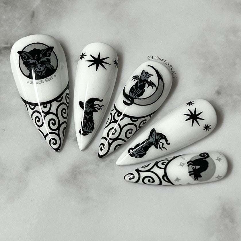 Witches Familiar