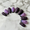 Purple Butterfly