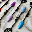 Carnival Collection