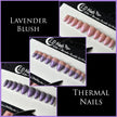 Lavender Blush