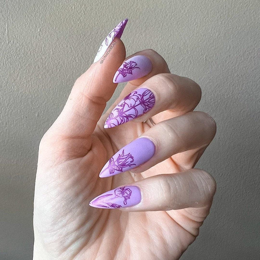 Floral Fade