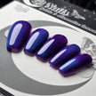 Blueberry Cat Eye