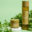 I'm From Mugwort Cream 50g