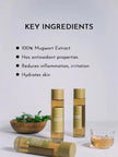 I'm From Mugwort Essence 160ml