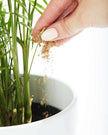 Bios Natural Plant Fertilizer