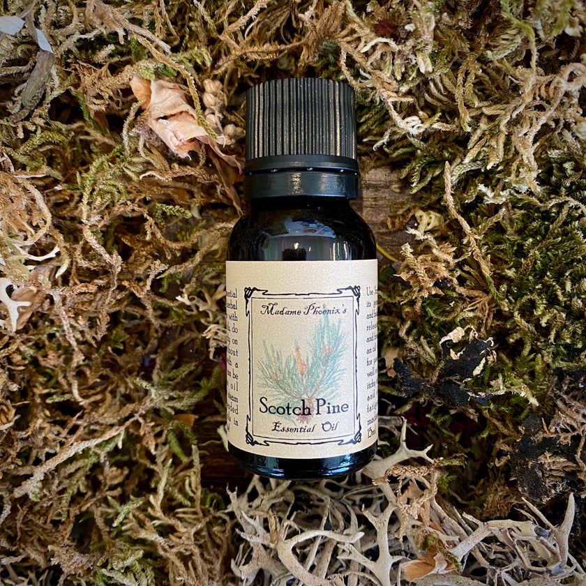 Winterssentials Oils Set