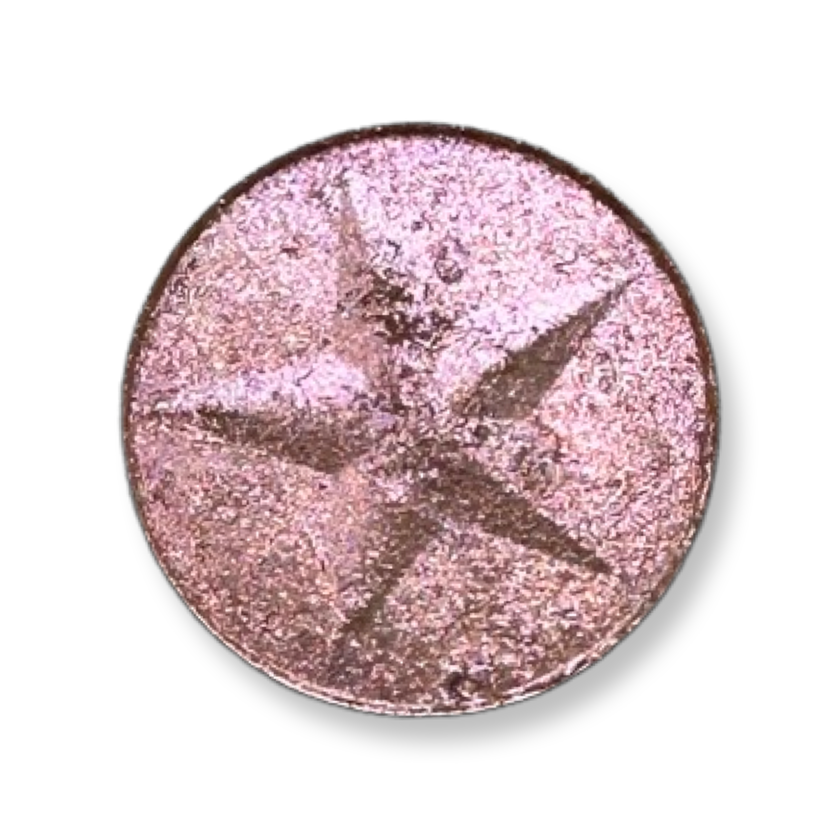 Champagne Sparkle [Eternal Collection]