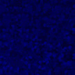 Craft Holographic HTV Royal Blue