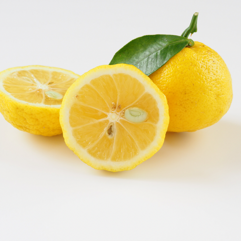 Yuzu Lip Balm