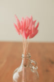 Bunny Tails