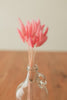 Bunny Tails