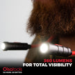 Lumières LED pour le cou