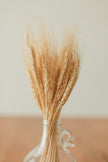 Wheat Bundle (preserved)