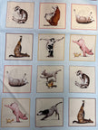 Yoga is for Everyone - Pat. 8301 Col. Blue - International Textiles